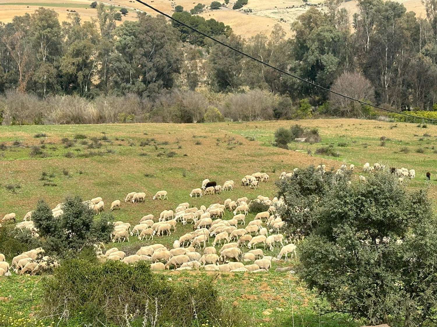 قطعة أرض للبيع في Coín