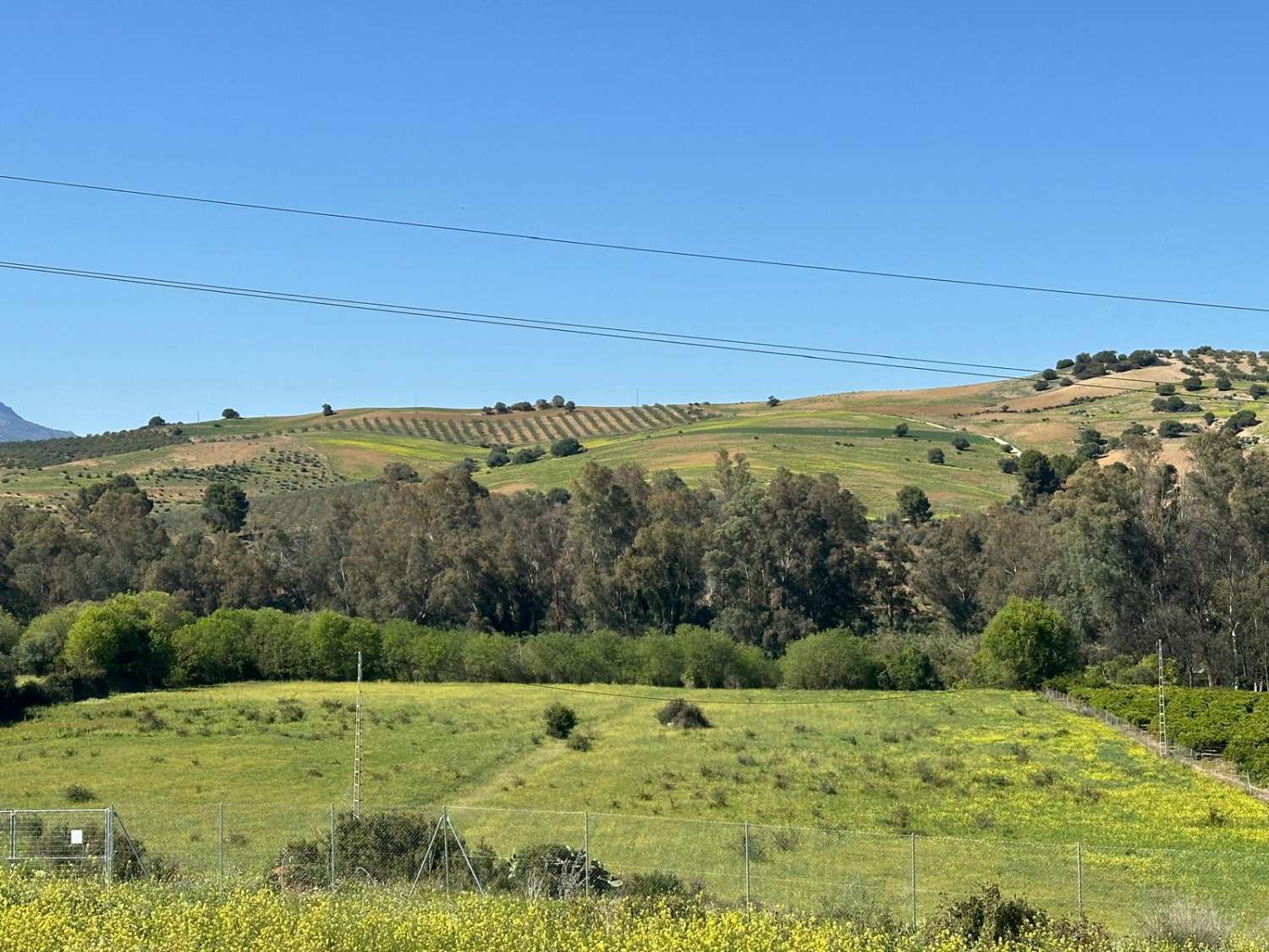 Appezzamento in vendita a Coín